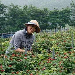 거창 체험농장 블루베리 수확 체험