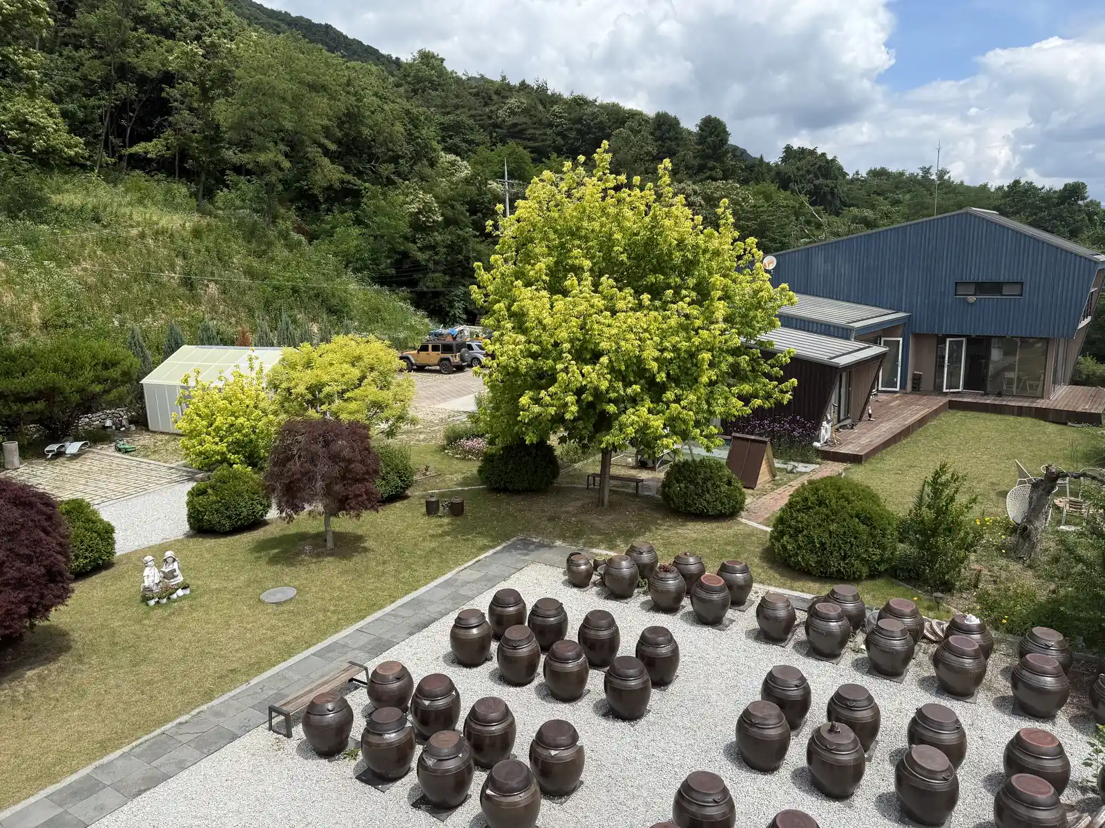 거창 이수미팜베리 블루베리 수확 체험